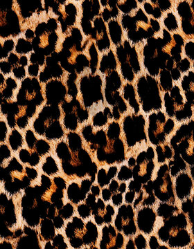Animalier Images – Browse 6,393 Stock Photos, Vectors, and Video ...