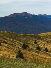 Widok ze wzgórza Halicz w Bieszczadach jesienią