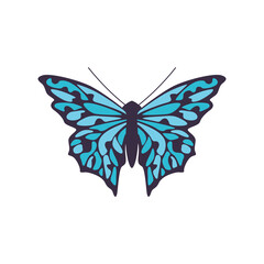 Simple black butterfly with blue pattern on wings a isolated vector illustration