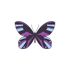 Butterfly with spread purple wings symbol, flat vector illustration isolated.