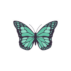 Vector illustration of black butterfly with symmetrical blue pattern on wings