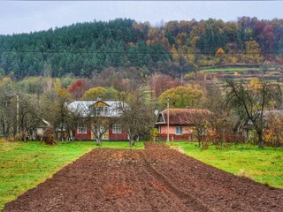 autumn in the park