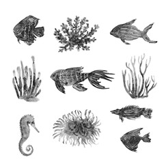 set of fish, seahorse and coral drawings, black and white illustrations with texture, hand drawings with art sauce