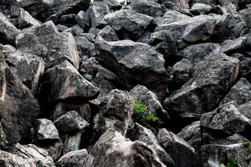 black and white stones