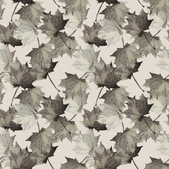 Maple leaves.Assorted autumn leaves.Art.Picture on white and colored background.