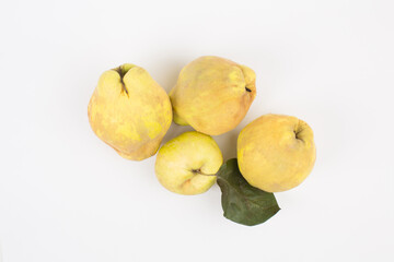 Quince fruit in studio