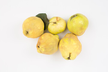 Quince fruit in studio