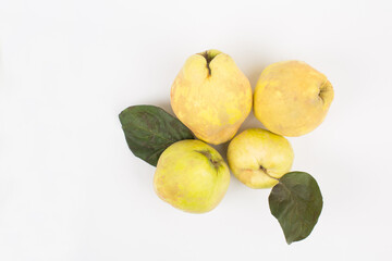 Quince fruit in studio