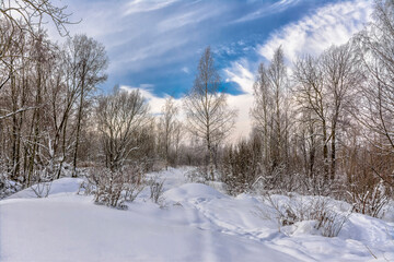 Winter landscape in the Leningrad region.