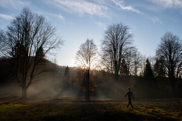 silhouette of a person walking in a park