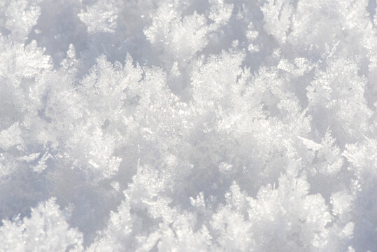 detail of fresh powder snow at winter