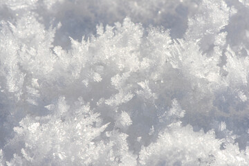 Fototapeta na wymiar detail of fresh powder snow at winter