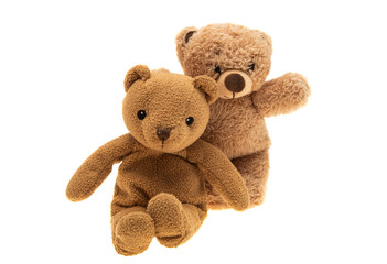 soft toy bear isolated