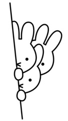 black and white cute rabbit