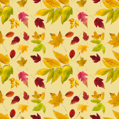 Pattern of multicolored autumn leaves of different types on pale yellow.