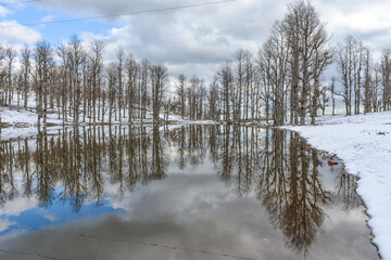 Winter season and snow in the mountains, beautiful reflection of trees and snow on a calm lake in the cold winter season