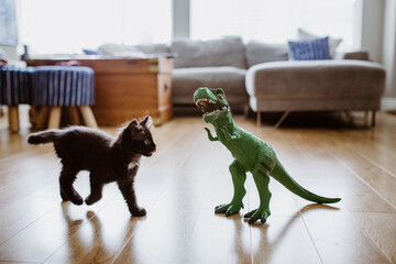 black kitten licking lips and playing with toy dinosaur