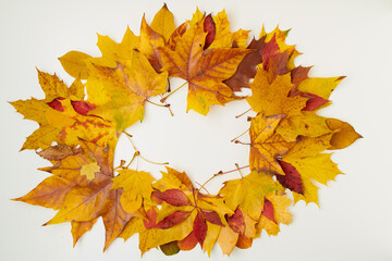 autumn flat lay with leaves on white