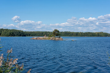 Forest on the lake shore and reflection in the water landscape