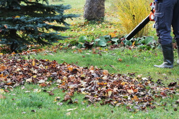 Worker cleaning falling leaves in autumn park. Man using leaf blower for cleaning autumn leaves. Autumn season. Park cleaning service.