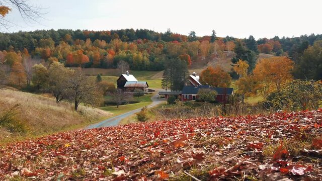 Farm house with Autumn foliage in Vermont with beautiful colors 4k