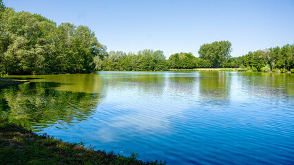Obraz premium lake in the park