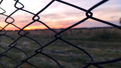 fence in sunset