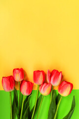 Beautiful composition of spring tulips. Red tulips flowers on green background.