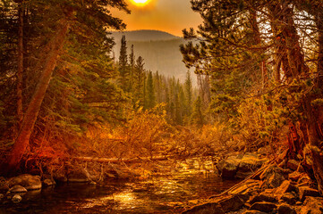 Beautiful fern creek in October with smoky red sky of the wildfires, Rocky Mountain National Park, Colorado