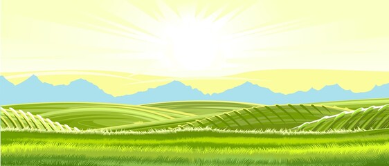 Rural hills. Rustic. Pasture grass for cows and a place for a vegetable garden and farm. Meadows and trees. The sun. Beautiful view. Summer. Vector