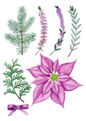 Watercolor hand drawn christmas plants heather, thuja, bow, Poinsettia. Can be used as print, postcard, invitation, greeting card, packaging design, textile, fabric, label, stickers, tatoo