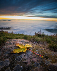 Amazing autumn sunset in the Black Forest