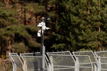 CCTV cameras mounted on pole base hidden in forest secured location technology surveillance