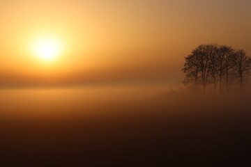 Nebellandschaft