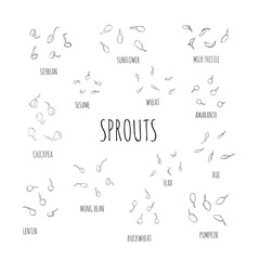 Set of line ink growing seeds - vector illustration. Microgreens in the style of sketch and hand drawing. Soybean sprouts, mung bean Healthy and wholesome vegan food for restaurants, cafes, kitchens.