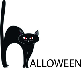A cute Black Cat to scare halloween night