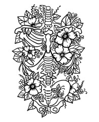 Human skeleton floral ribs pelvis bones torso svg human anatomy