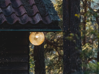 Spider web covered wall mounted lamp