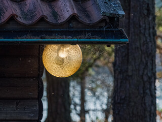 Spider web covered wall mounted lamp