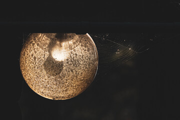Spider web covered wall mounted lamp