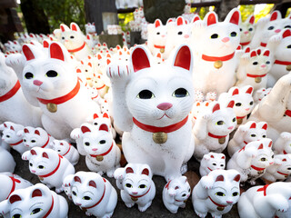 東京都　豪徳寺の招き猫