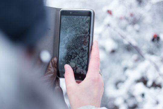 Senior woman taking pictures of snowy trees with smartphone in winter. Old person using technology.