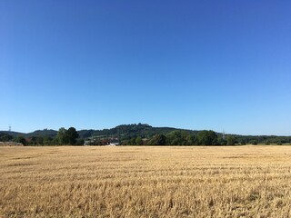 fränkische Sommerlandschaft