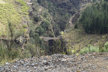 puente del libertador