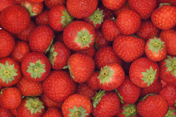 Fresh strawberry background top view. Food background