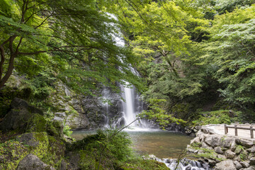 Minoh falls in Osaka, Japan in early summer