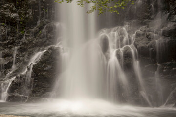 Fototapeta na wymiar Minoh falls in Osaka, Japan in early summer