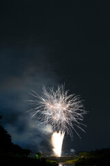 A display of fireworks at Sanda city, Hyogo, Japan