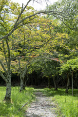 A walking path in Tenma park in Sanda city , Hyogo, Japan