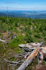 View from Svaroh, Sumava national park, Germany